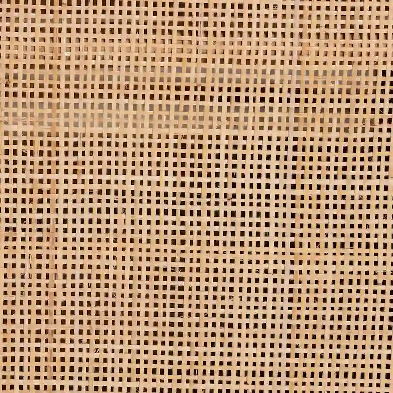 Evania Bohemian Natural Rattan 3-Door Storage Cabinet